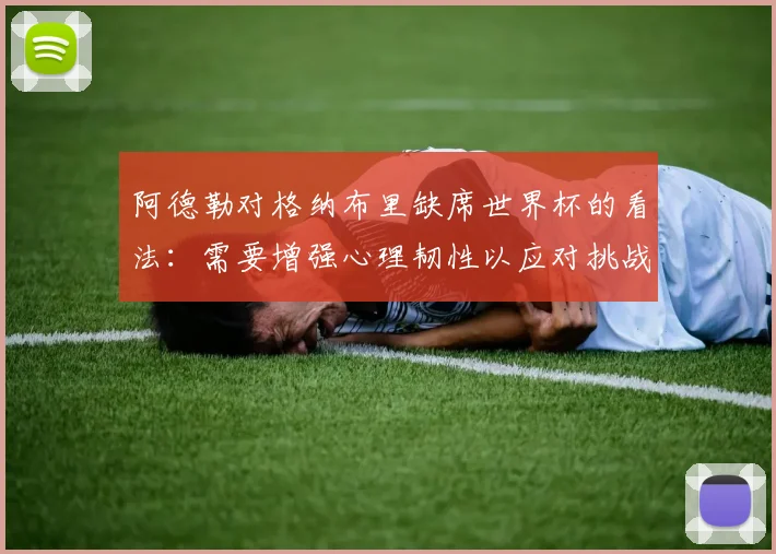阿德勒对格纳布里缺席世界杯的看法：需要增强心理韧性以应对挑战